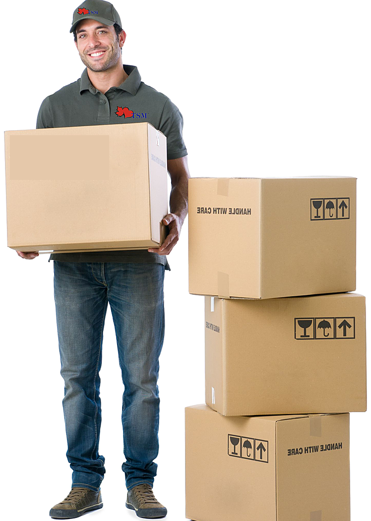 Reliable packing and moving services in Delhi by Asha Movers. Expert handling and secure packaging ensure a smooth relocation experience. Trust us for a stress-free move. 🚚📦🏠