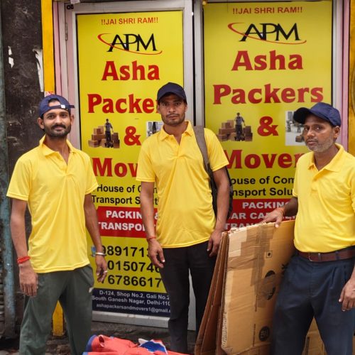 best movers and packers service in delhi